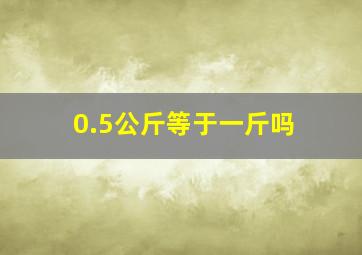 0.5公斤等于一斤吗