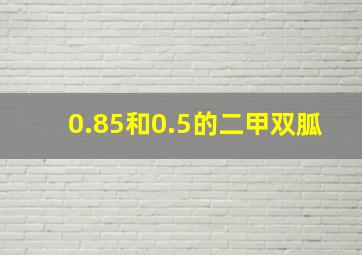 0.85和0.5的二甲双胍