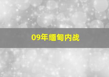 09年缅甸内战