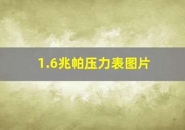 1.6兆帕压力表图片