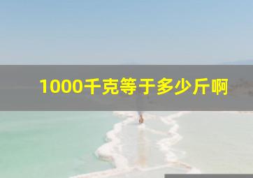 1000千克等于多少斤啊