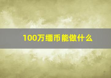 100万缅币能做什么