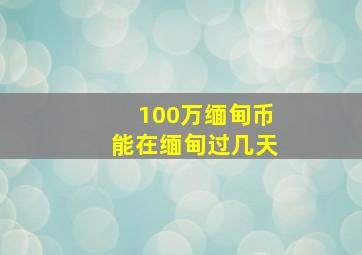 100万缅甸币能在缅甸过几天