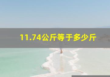 11.74公斤等于多少斤