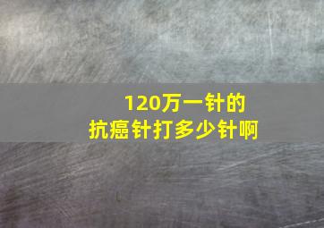 120万一针的抗癌针打多少针啊