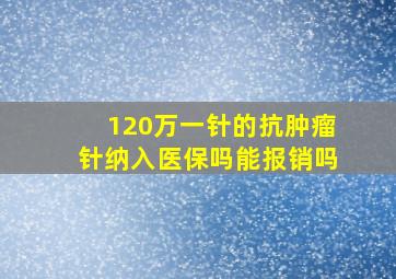 120万一针的抗肿瘤针纳入医保吗能报销吗