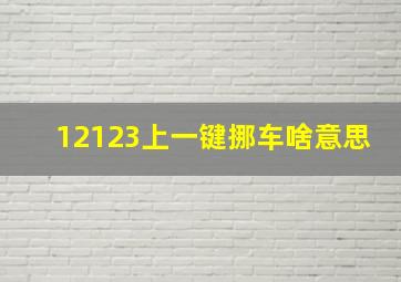 12123上一键挪车啥意思