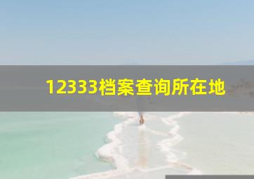 12333档案查询所在地