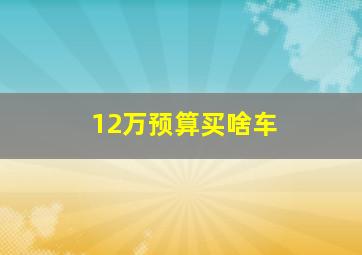 12万预算买啥车