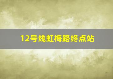 12号线虹梅路终点站