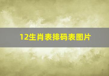 12生肖表排码表图片