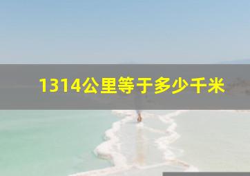 1314公里等于多少千米