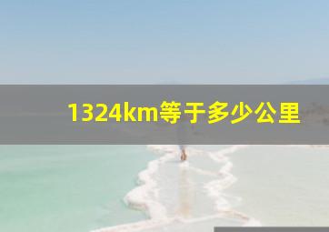 1324km等于多少公里