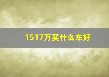 1517万买什么车好