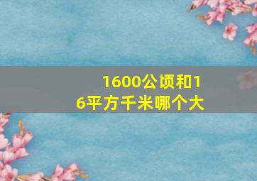 1600公顷和16平方千米哪个大