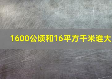 1600公顷和16平方千米谁大