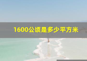 1600公顷是多少平方米