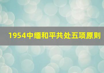 1954中缅和平共处五项原则