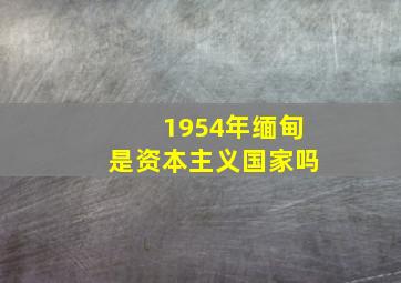 1954年缅甸是资本主义国家吗