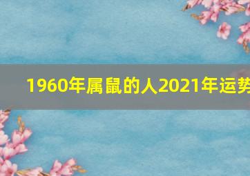 1960年属鼠的人2021年运势