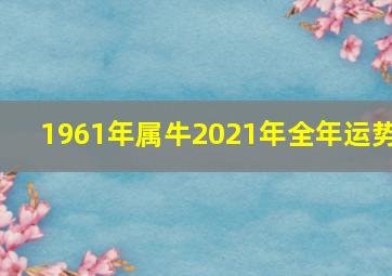 1961年属牛2021年全年运势