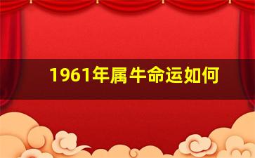 1961年属牛命运如何