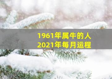 1961年属牛的人2021年每月运程