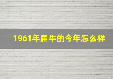 1961年属牛的今年怎么样