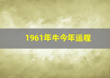 1961年牛今年运程