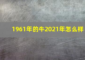 1961年的牛2021年怎么样