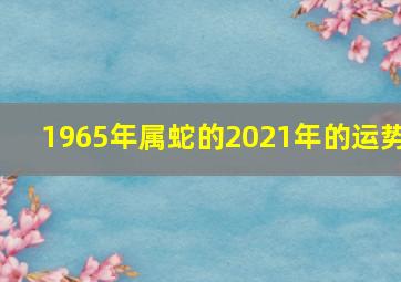 1965年属蛇的2021年的运势