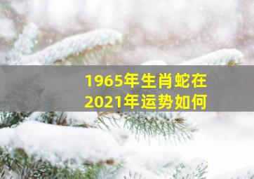 1965年生肖蛇在2021年运势如何