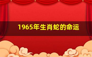 1965年生肖蛇的命运