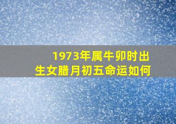 1973年属牛卯时出生女腊月初五命运如何