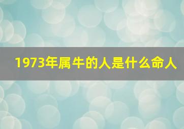 1973年属牛的人是什么命人