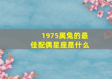 1975属兔的最佳配偶星座是什么