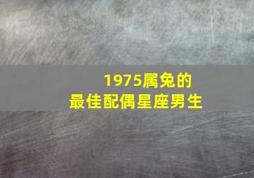 1975属兔的最佳配偶星座男生