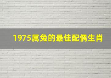 1975属兔的最佳配偶生肖