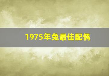 1975年兔最佳配偶