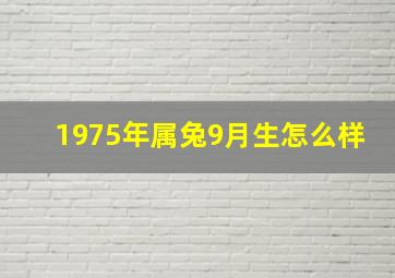 1975年属兔9月生怎么样