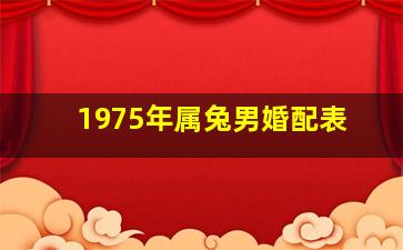 1975年属兔男婚配表