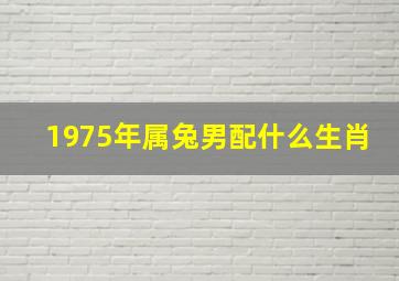 1975年属兔男配什么生肖