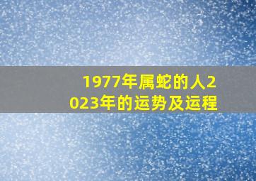 1977年属蛇的人2023年的运势及运程