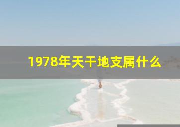 1978年天干地支属什么