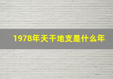 1978年天干地支是什么年