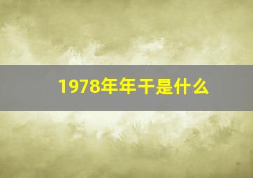 1978年年干是什么