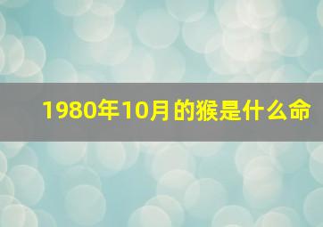 1980年10月的猴是什么命