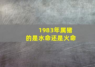 1983年属猪的是水命还是火命