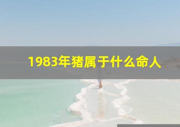 1983年猪属于什么命人