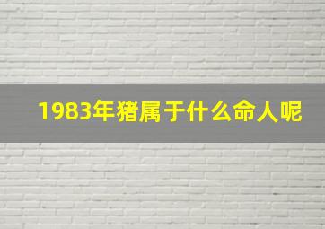 1983年猪属于什么命人呢